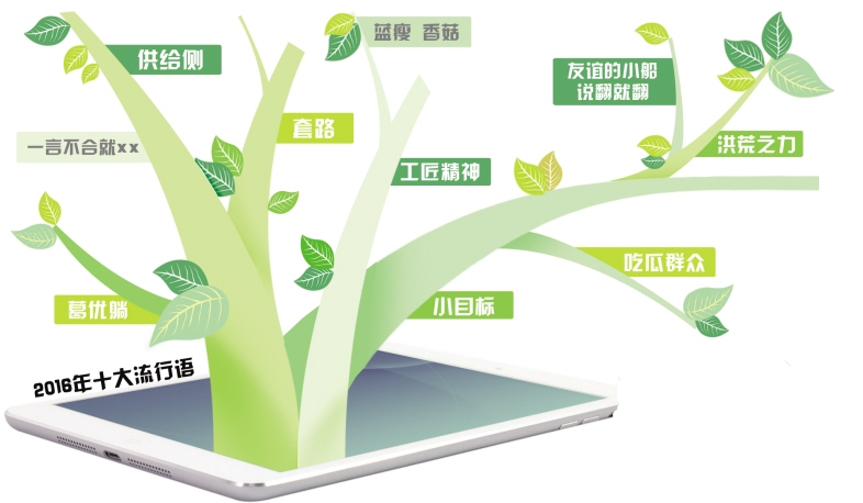 1486611618631390.jpg 1.jpg