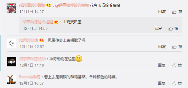 1486620690669019.png 3.png