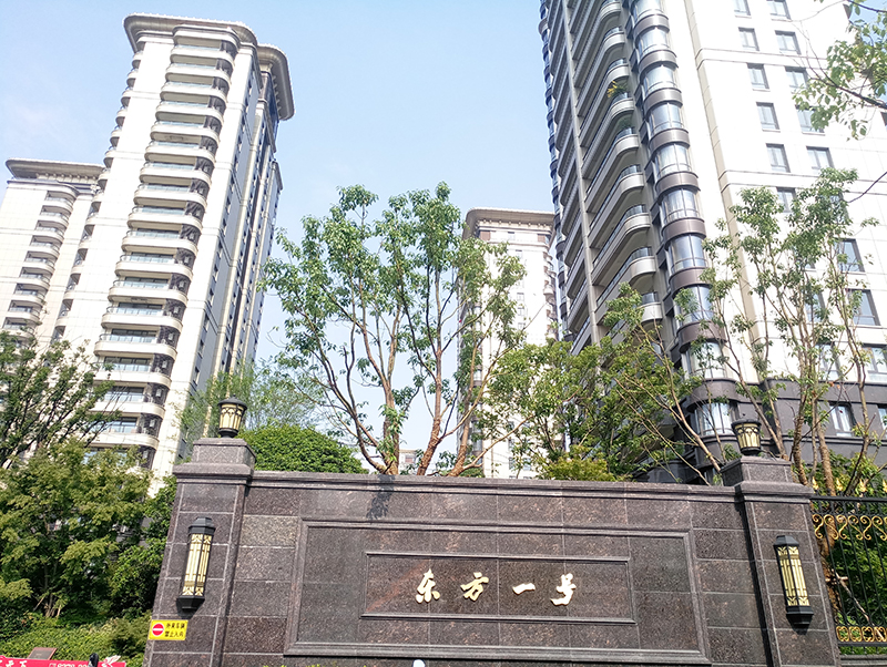 1498636006628959.jpg P70615-084611.jpg