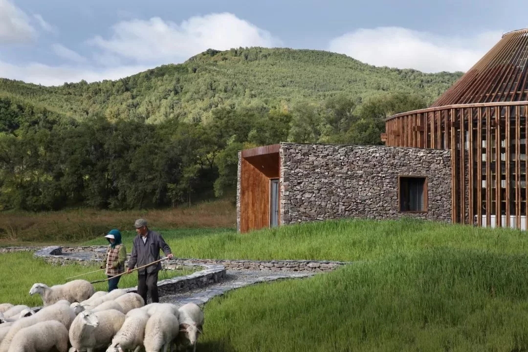 1515032543935668.jpg t01909a69c5b8557265.webp.jpg