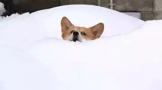 1515987515778721.jpg 640.webp.jpg