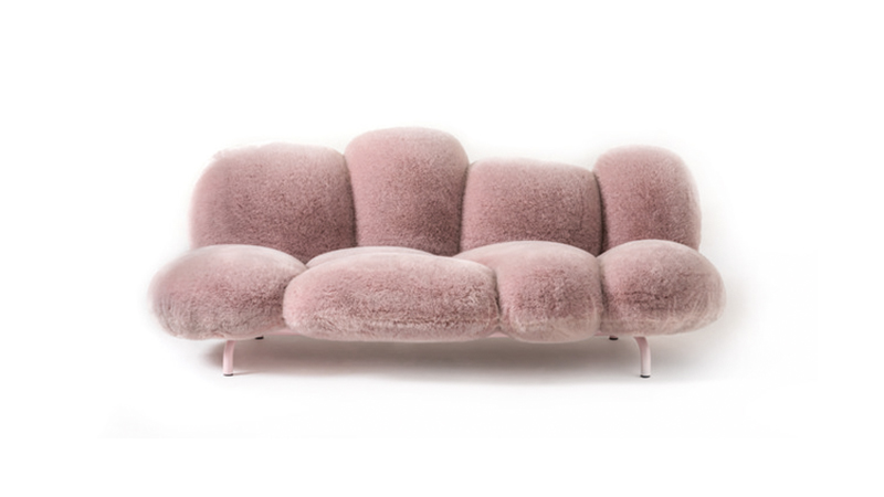 1546422105282713.jpg cipria.jpg