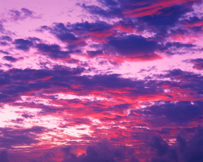 1569393146315577.jpg 0ac6ddbdd3e1d86c71f9a272e0ca5660babc59d9640963-cFGfX1_fw658.jpg