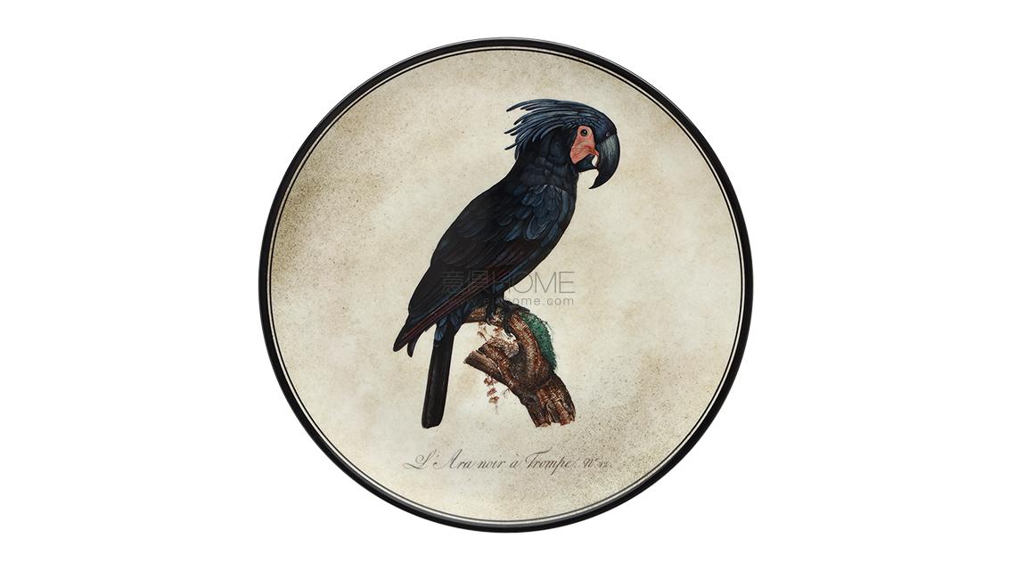 PIATTO DA MURO4盤子