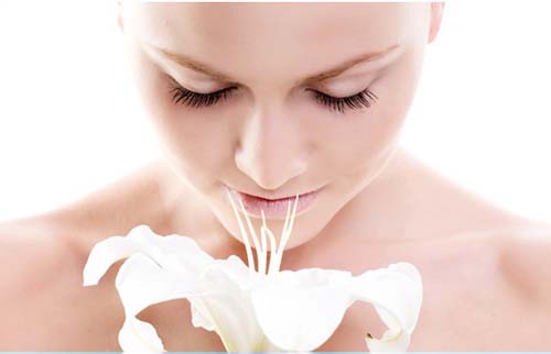 OFELIA applique壁燈