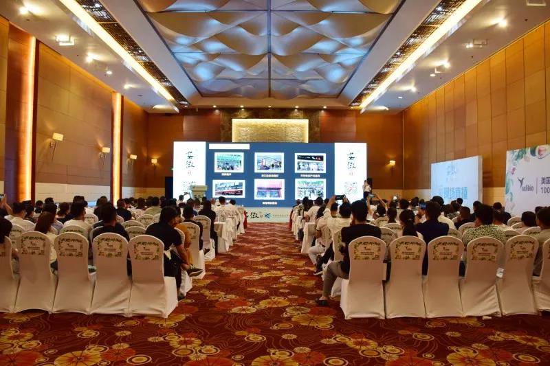 LAMPADA LUMINA頂燈