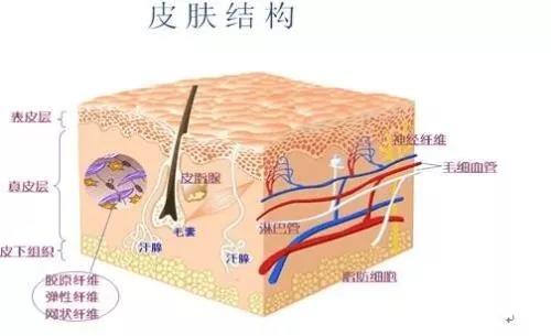 BEAT STOUT PENDANT BLACK吊燈