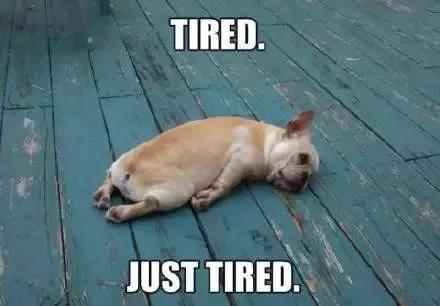 包豪斯百年特刊 |受包豪斯影響的意大利家具設計