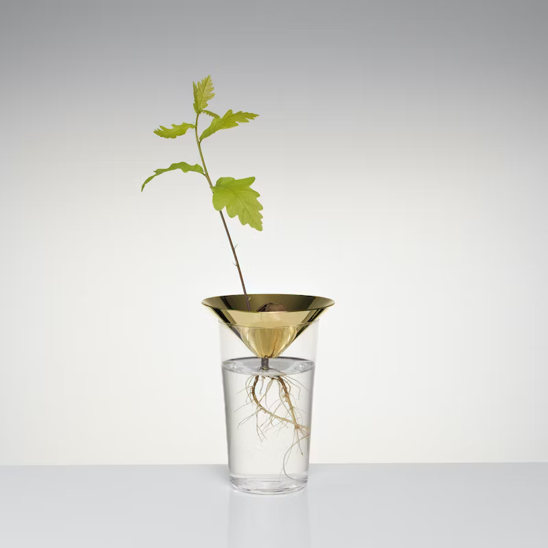 MICHAEL ANASTASSIADESFLOATING FOREST花瓶