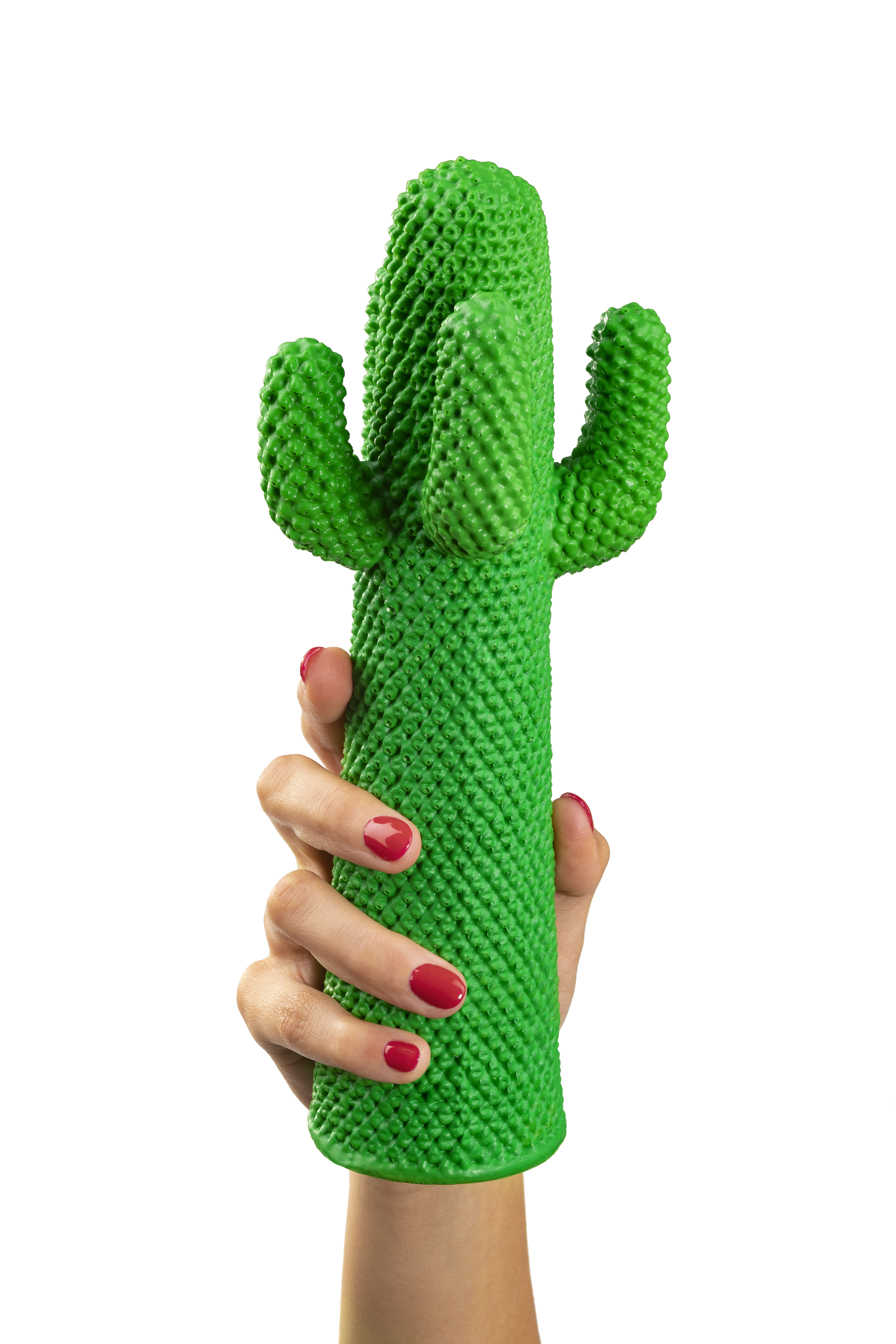 Guframini Cactus綠色迷你仙人掌