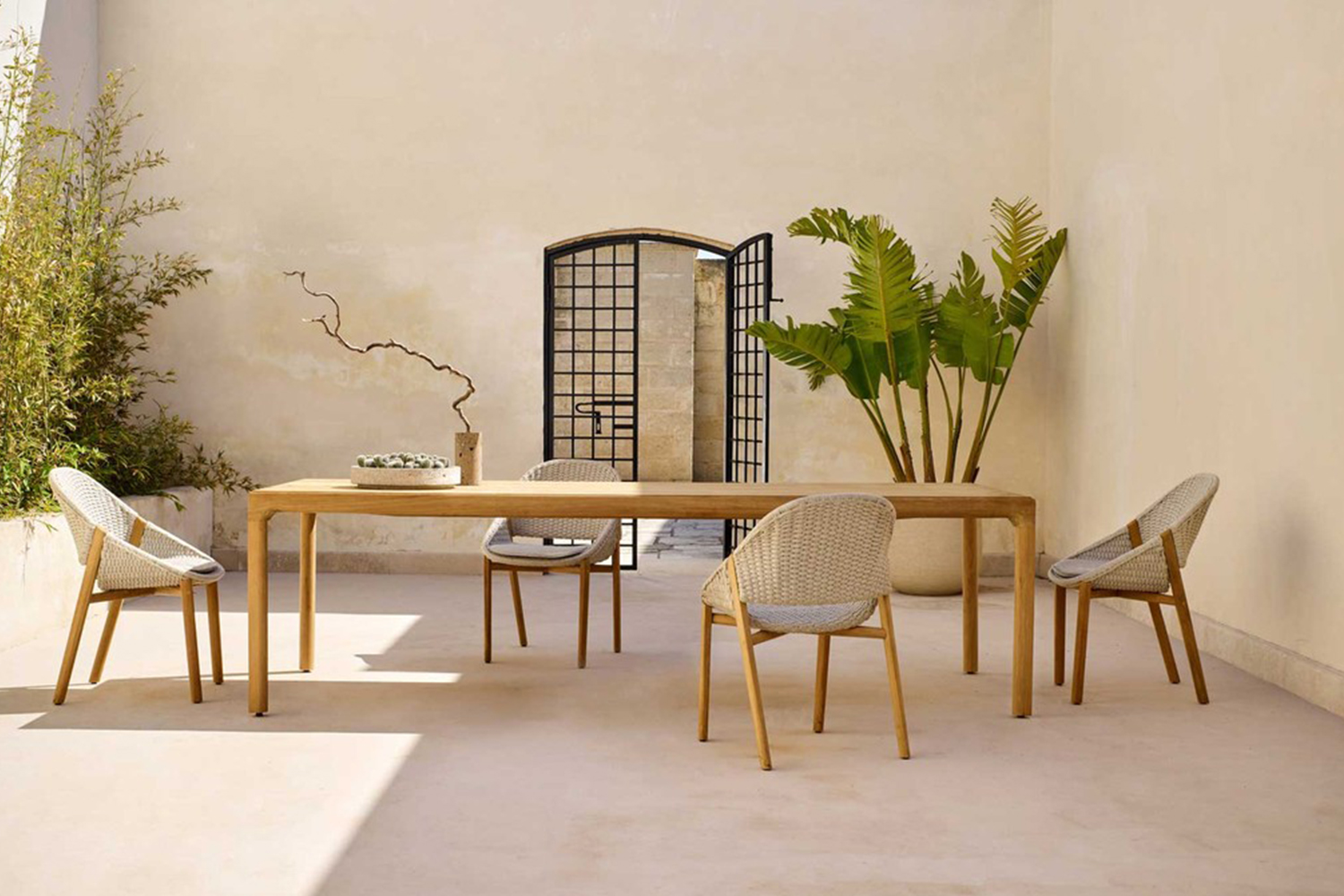 TRIBU優(yōu)雅獨特